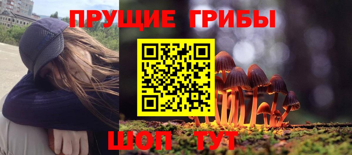 Галлюциногенные грибы мицелий Дивногорск